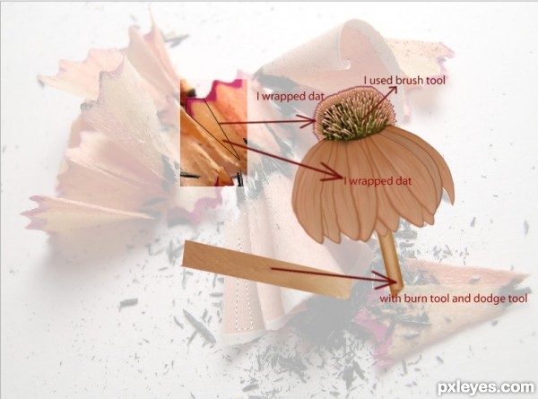 Creation of Pencil Flower: Step 4